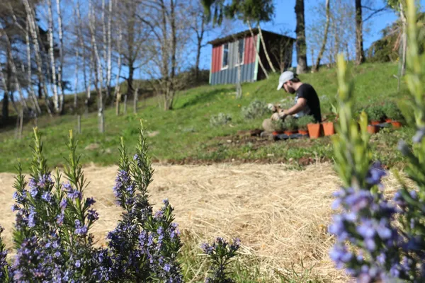 Alavostra - Artisan de l'apéro