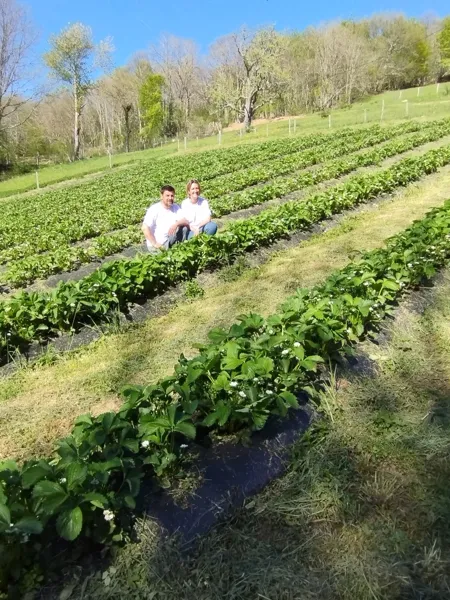 Les Fruits rouges de la Coste